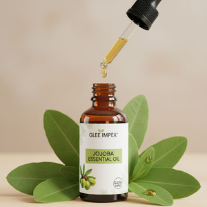 น้ำมันเมล็ดโจโจบาคุณภาพสูง น้ำมันธรรมชาติสำหรับบำรุงผิว บำรุงเส้นผม และการดูแลส่วนบุคคล - Product Image 3