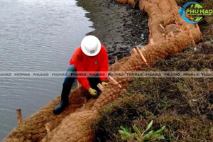 Rouleaux de bio-ingénierie organique robustes et écologiques en fibre de coco pour la protection des rives de rivières et des lacs et la restauration de la végétation naturelle - Product Image 3