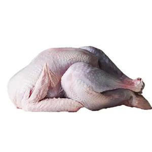 Export Quality Whole Turkey Fresh and <b>Frozen</b> Packed for Bulk Orders and Global Distribution - Product Image 2