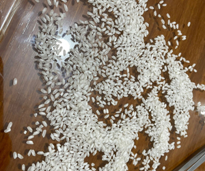 Camolino Rice – Premium Egyptian Rice | Soft Texture Fragrant Taste Authentic Middle Eastern <b>Grain</b> - Product Image 3