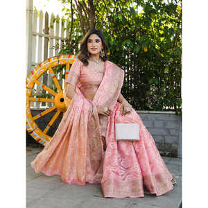 Sari Patola en organza rose avec détails tissés Zari, vêtements indiens et pakistanais, 600g Elite Weaves - Product Image 4