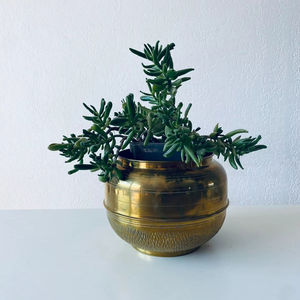 Jardinière en métal design pour collection d'accessoires de maison haut de gamme, offrant une présentation élégante des plantes avec une finition durable - Product Image 1