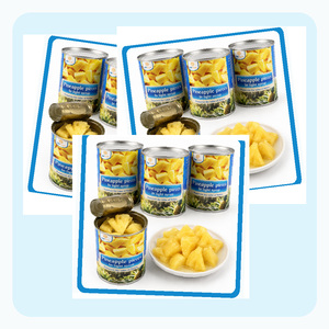 Piña en Rodajas en Almíbar, Hecha en Vietnam, Deliciosa, con Certificación ISO, en Lata de 20oz, ¡Gran Oferta! - Product Image 6