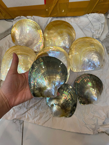 Pearl Of Mother Shell Shiny Vietnam Material For Handicraft Jewelry Inlay Furniture Decor Plate Factory Best Price For Wholesale - Product Image 3