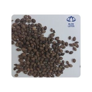 Semillas de Papaya Secas Favoritas de los Clientes, Higiénicas, de Primera Calidad, Aptas para Cocinar y Sazonar, Realzan el Sabor - Product Image 1