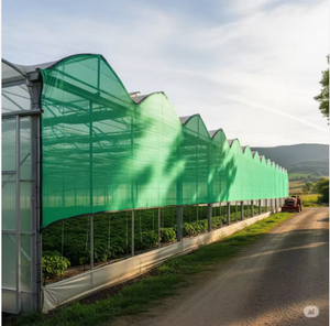 Service de découpe de filet plastique agricole tricoté pour serre, couleur verte, fabriqué en Inde - Product Image 2