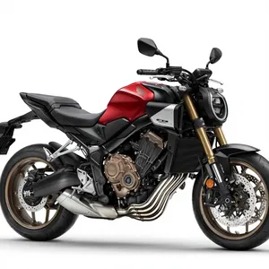 Nouvelle Moto Industrielle de Pointe 2026 C-B75-0S Hor-net pour Terrains Difficiles 2000W+ Vitesse Max >80km/h OEM ODM - Product Image 2