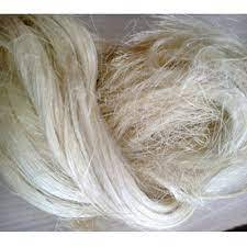Fibra de Sisal Natural Cruda Limpia en Empaque a Granel para Producción Comercial - Product Image 2