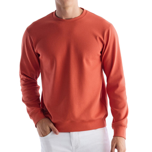 Men's Casual Cotton Sweatshirts Solid Pattern 100% Cotton Winter Season <b>Thick</b> <b>Fleece</b> with Custom Logo Embroidery Wholesale - Product Image 1