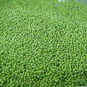 Petits pois séchés pour soupes, conserves et garnitures de pâtes, calibrage uniforme à 99 % pour des résultats de cuisson et de transformation constants, 500-650/tonne - Product Image 4