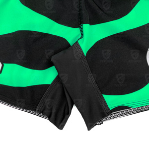 Meilleures ventes Nouveauté 2026 Shorts de boxe tendance en gros Shorts d'entraînement Muay Thai MMA Shorts Muay Thai pour enfants 2026 - Product Image 4