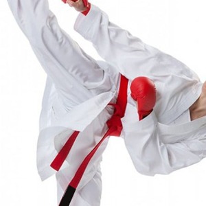 ชุดยิวยิตสู BJJ สำหรับผู้ใหญ่ แบบสั่งทำได้ คุณภาพสูง ยืดหยุ่นดี มีตัวอย่างฟรี - Product Image 2