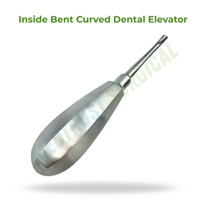 Elevador dental curvo con hoja de 4.5mm de ancho y mango extraíble, instrumento quirúrgico dental para separación y extracción de dientes - Product Image 4