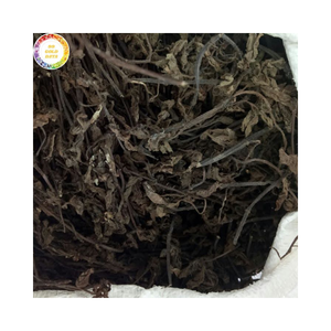 Hierba de Gelatina Seca Tradicional Vietnamita, Aromatizada Naturalmente, Mesona Deshidratada, Precio de Fábrica al por Mayor - Product Image 1