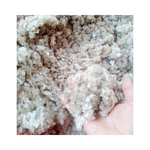 VENDRE DES ÉCAILLES DE POISSONS DE RIVIÈRE SÉCHÉES POUR L'EXPORTATION EN GRANDES QUANTITÉS, DE HAUTE QUALITÉ ET DE BON PRIX EN 2024/ Ms.Thi - Product Image 3