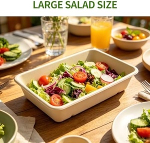 Boîte Bento Compostable en Bagasse 1000ml Formes Rectangulaires Non Blanchies pour Restaurants et Cuisines Cloud – Vente Chaude - Product Image 5