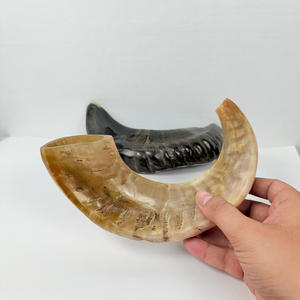 2026 Corne de Ram Shofar Naturelle Style Yéménite |   Corne de souffleur juive artisanale polie de haute qualité, objet de collection Judaica casher - Product Image 6
