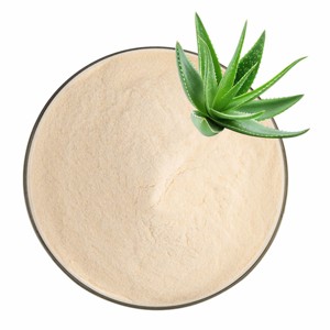 Approvisionnement en gros : Extrait de gel d'aloe vera pur à 100 % 200:1, poudre d'aloe barbadensis de qualité supérieure pour applications cosmétiques et phytothérapeutiques - Product Image 1