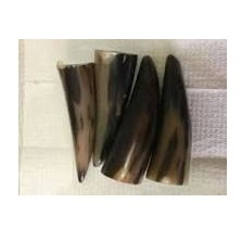 High Quality Customized Size Raw Buffalo Horn Tip <b>Polished</b> <b>Black</b> Agate Color Religious Holiday Decorative Natural Craft - Product Image 2