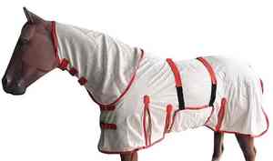 Manta para Caballos con Cobertura Completa del Cuello, Resistente al Invierno, Acolchado Grueso, Sistema de Fijación Seguro para Máxima Protección Contra el Frío - Product Image 4