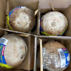 Noix de coco semi-décortiquée de qualité export en gros, avec chair blanche sucrée, fruit tropical frais et mûr, origine Vietnam, produit 100% naturel - Product Image 6
