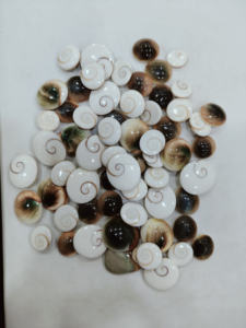 Piedras preciosas naturales de ojo de Shiva, fabricación de joyas, cabujón natural, piedras preciosas sueltas de La India, piedras preciosas sueltas indias hechas a mano - Product Image 3