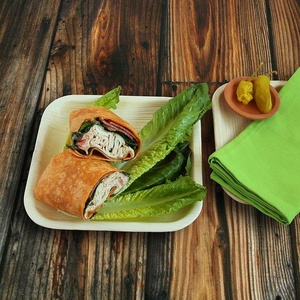 Assiettes compostables pour une alimentation responsable, 7 pouces, assiettes carrées en feuille de palmier d'arec pour un service alimentaire durable, assiettes pour événements - Product Image 1