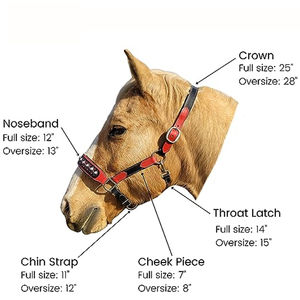 Produit phare : Bridon et licol pour cheval en cuir, entièrement personnalisables, de qualité supérieure, pour sports équestres en plein air - Product Image 5