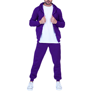 Ensemble de survêtement pour homme avec capuche violette, sweat-shirt et pantalon à fermeture éclair intégrale, couleur unie, vêtements de sport décontractés pour l'automne et l'hiver - Product Image 5