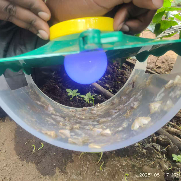 Pest Control Solar Light Trap Moth
