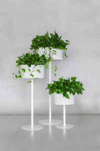 Macetas Modernas de Metal para Plantas, Cilindro Decorativo para Interiores, Jardín, Oficina, Edificio, Área Común, Sala de Estar, Escuela - Product Image 1