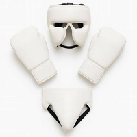 Ensemble de boxe professionnel pour sparring : protège-tête, gants, protège-guêtres – Écologique, durable, respirant, haute qualité, personnalisable
