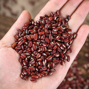 Wholesale Raw AD Dried Adzuki <b>Beans</b> (Red Mung <b>Bean</b>) Whole Red <b>Beans</b> Cooking <b>Baking</b> Sprouting Bulk Food Ingredients Herbs Spices - Product Image 1