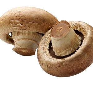 SAC EN PLASTIQUE CHAMPIGNON SHIIITAKE SÉCHÉ NATUREL - Product Image 1