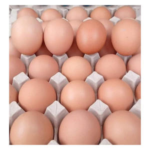 ไข่ไก่สีน้ำตาลคุณภาพพรีเมียมขายส่ง เหมาะสำหรับใช้ในอุตสาหกรรมบริการอาหาร - Product Image 6