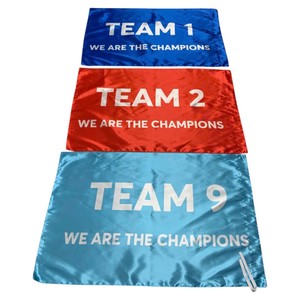 Bandera de Plumas de Poliéster con Impresión Digital, Duradera, Amarilla y Azul, para Deportes y Juegos - Product Image 5
