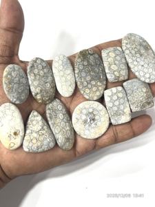 Coral noir naturel, pierres précieuses brutes, cabochons, formes et tailles variées, environ 20 à 30 mm - Product Image 4