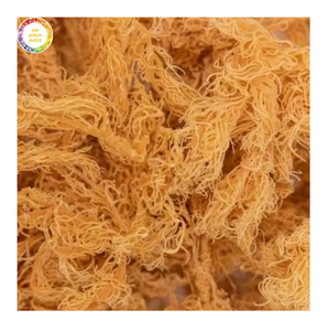 High Quality Golden Cottonii Seaweed Sun <b>Dried</b> Raw Material For Carrageenan Production Natural Marine Algae For Global Export - Product Image 1