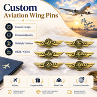 Badges de poitrine uniques et attrayants en métal 3D de haute qualité, thème aviation, ailes doubles, commémoratifs, avec logo personnalisé