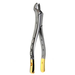 Pinzas Dentales de Alta Calidad para Cirugía Oral, Herramientas de Extracción de Acero Inoxidable, Pinzas Dentales Quirúrgicas de Acero Inoxidable - Product Image 1