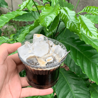 Mélange de grains de café torréfié foncé Robusta 90% traditionnel vietnamien suprême de haute qualité 10% Arabica rôti moyen emballé dans un sac