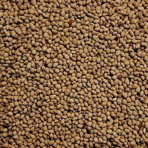 Semillas de Trébol de Origen Sudafricano - Alta Tasa de Germinación, Larga Vida Útil, Empaque Premium a Granel - Product Image 3