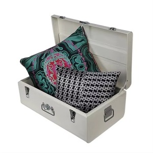 Stainless Steel Vintage Trunk <b>Box</b> with Lock Classic Design 10 20L Capacity for Clothes Shoes <b>Books</b> & Travel Durable Lightweight - Product Image 6