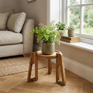 Support à plantes en bois sculpté à la main, design rustique vintage pour utilisation en extérieur dans le jardin, pour plantes vertes et fleurs. - Product Image 2
