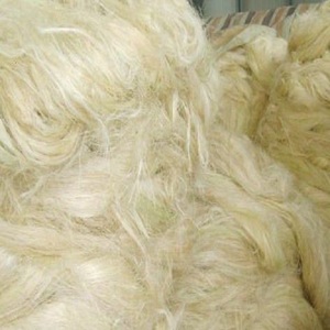 Fibra de Sisal Cruda de Grado Premium para Hilado y Aplicaciones Industriales con Longitud de 80-120 cm - Product Image 6
