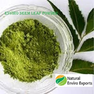 Polvo de hoja de Neem 100% puro y natural utilizado para productos antibacterianos y para el cuidado de la piel Polvo de hoja de Neem - Product Image 2