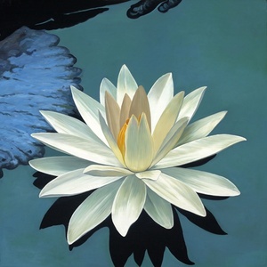 White Lotus Absolute <b>Oil</b> 100% Pure Natural Lotus Flower <b>Oil</b> Fragrance Perfume - Product Image 3
