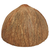 Coques de noix de coco concassées de qualité supérieure, écologiques, 3-6 cm, durables, multi-usages, matière première, Belgique