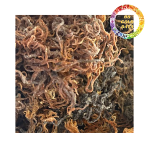 Musgo Marino Seco para Postres Veganos en Gel, Smoothies y Jugos, Suministro al por Mayor OEM, Fábrica de Vietnam - Product Image 4
