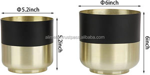 Indoor <b>Metal</b> Flower Pots and <b>Planters</b> with <b>Black</b> & Gold Details Powder Coated Finish for Home & Garden Decoration - Product Image 2